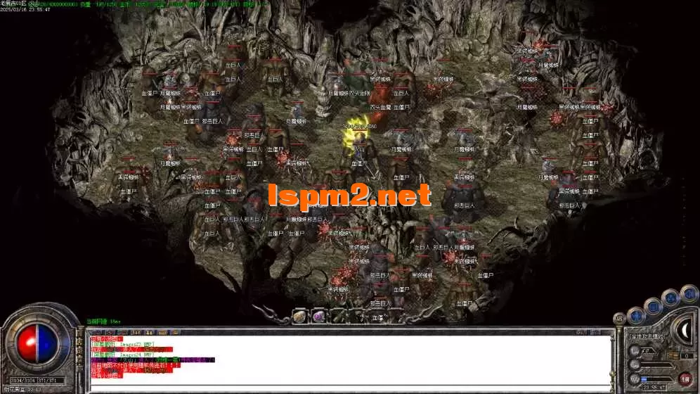 Images25.BMP.webp